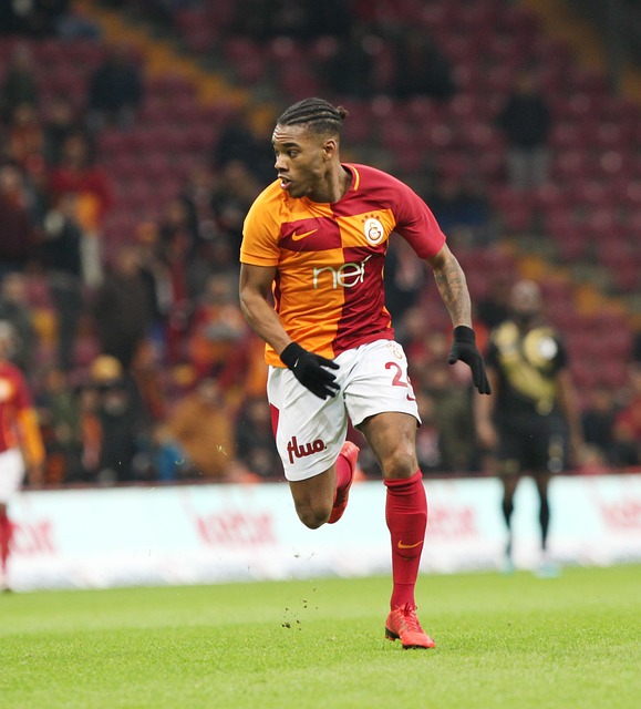 奥体中心青 奥体中心青